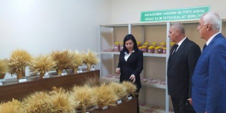 Naxçıvanın Kənd Təsərrüfatı naziri kollec məzunudur Naxçıvanın Kənd Təsərrüfatı naziri kollec məzunudur