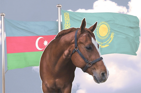 Diri atı 340 manata Qazaxıstana satıb, kiloqramı 2,9 manata Qazaxıstandan at əti alırıq 