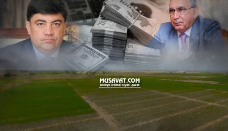 Ramiz Mehdiyevin kürəkəni Şabranda 52 hektar torpağı ələ keçirdi 