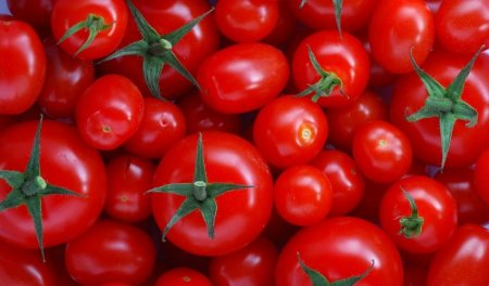 Pomidorun qiyməti mayda “üz qızardır”