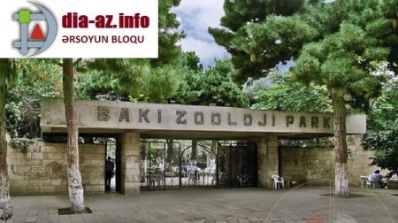 BU NƏDİ: “Bakı Zooparkı” internet üçün hər ay 1 230 manat xərcləyəcək