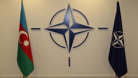 Azərbaycan NATO-nun Vaşinqton sammitinə qatılacaqmı?