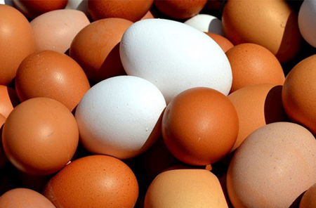 “Ferma yumurtası” ilə “kənd yumurtası”nın maya dəyərində 