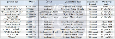 Xankəndi şəhərində dövlət qeydiyyatına alınan ilk şirkət kimindir?