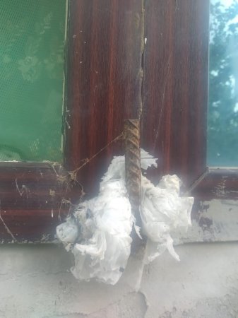 "Belə çıxır ki, biz heyvanıq, əlacsızlıqdan yaşayırıq..." "Belə çıxır ki, biz heyvanıq, əlacsızlıqdan yaşayırıq..."