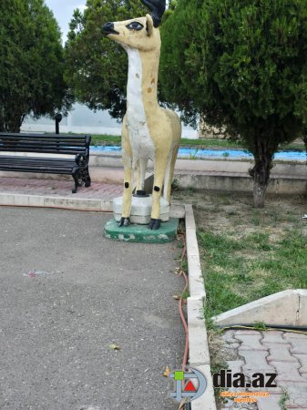Naxçıvan icra hakimiyyətindən ulu öndərin ruhuna SAYĞISIZLIQ... Naxçıvan icra hakimiyyətindən ulu öndərin ruhuna SAYĞISIZLIQ...