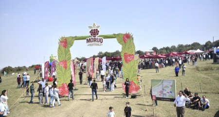 Göygöldə ilk dəfə olaraq “Moruq Festivalı” keçirilir