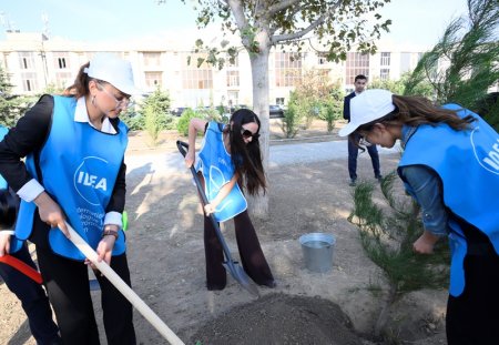 Leyla Əliyevanın iştirakı ilə Bakıda növbəti ağacəkmə aksiyası keçirilib