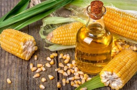 Rusiyada qarğıdalı qıtlığı yaranıb Rusiyada qarğıdalı qıtlığı yaranıb