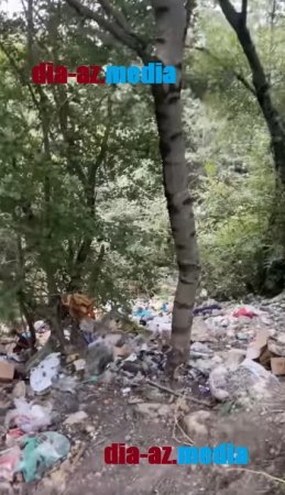 Meşə ərazisini zibilxanaya döndəriblər... Meşə ərazisini zibilxanaya döndəriblər...