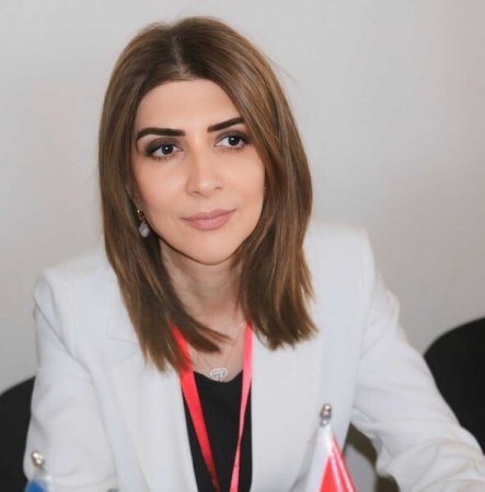 "Burada məntiq yoxdur, yanaşma da kökündən yalnışdır" "Burada məntiq yoxdur, yanaşma da kökündən yalnışdır"