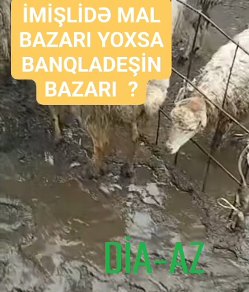 İmişlidə MAL BAZARI: BU NƏ HALDIR?..