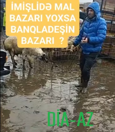 İmişlidə MAL BAZARI: BU NƏ HALDIR?..