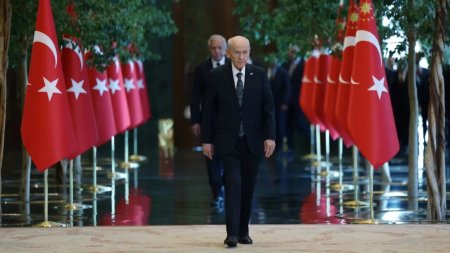 Baxçalıdan tarixi prezidentlik açıqlaması Baxçalıdan tarixi prezidentlik açıqlaması