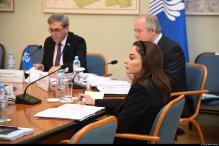 Deputat Əminə Ağazadə MDB PA-nın Hüquqi məsələlər üzrə daimi komissiyasının sədr müavini seçilib Deputat Əminə Ağazadə MDB PA-nın Hüquqi məsələlər üzrə daimi komissiyasının sədr müavini seçilib