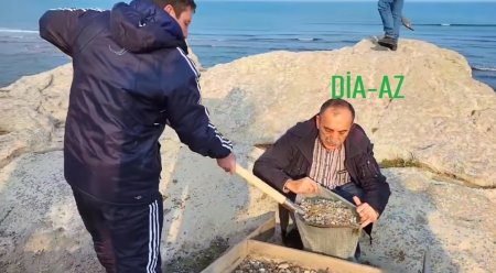 Elşən Salahov QIŞ YUXUSUNDA: Sakinlər məcbur hərəkətə keçdi... Elşən Salahov QIŞ YUXUSUNDA: Sakinlər məcbur hərəkətə keçdi...