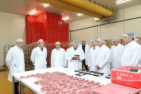 KOBİA nümayəndə heyəti “Veysəloğlu”na məxsus Məhəmmədi Logistika Mərkəzini ziyarət edib KOBİA nümayəndə heyəti “Veysəloğlu”na məxsus Məhəmmədi Logistika Mərkəzini ziyarət edib