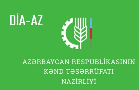 "Mənim körpə nəvələrim artıq 4 ildir ki, ac-yalavac yaşayır..."