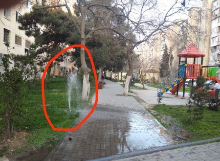 İçməli suya həsrət qalan Əhmədlidə İÇMƏLİ SU FONTAN VURUR... İçməli suya həsrət qalan Əhmədlidə İÇMƏLİ SU FONTAN VURUR...