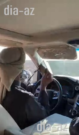 Ana Təbiətimizin BAŞI ÇALMALI QƏNİMLƏRİ...