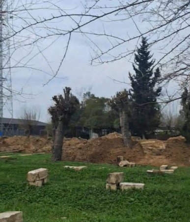 Masallının icra başçısı da TİKİNTİ XAOSUNA QOŞULDU: Ağaclar kəsildi və... Masallının icra başçısı da TİKİNTİ XAOSUNA QOŞULDU: Ağaclar kəsildi və...
