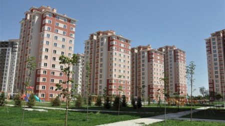 MTK-ların toruna düşməmək üçün nə etmək lazımdır? MTK-ların toruna düşməmək üçün nə etmək lazımdır?