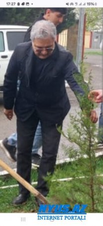 Masallıda yaşıllığa `GƏMİRİCİ`LƏR DARAŞIB... Masallıda yaşıllığa `GƏMİRİCİ`LƏR DARAŞIB...