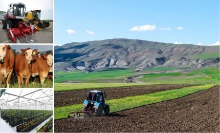 Soyuq hava: Bu ili kənd təsərrüfatı ciddi ZİYANLA ÇIXACAQ Soyuq hava: Bu ili kənd təsərrüfatı ciddi ZİYANLA ÇIXACAQ