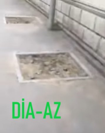 Binəqədinin icra başçısı deməsin ki, `BUNU DA BİLMİRƏM...` Binəqədinin icra başçısı deməsin ki, `BUNU DA BİLMİRƏM...`