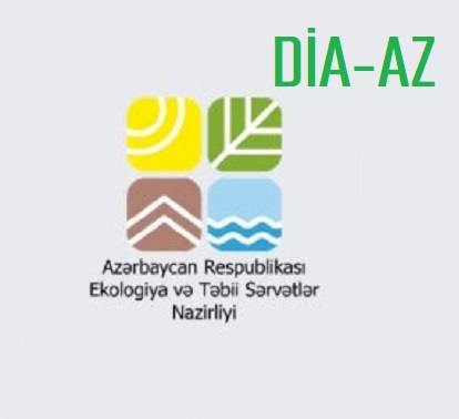 Bakının göbəyində AĞACYEYƏNLƏR PEYDA OLDU... Bakının göbəyində AĞACYEYƏNLƏR PEYDA OLDU...