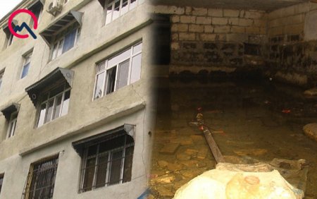 BAŞSIZ YEVLAX: Vətəndaş Allahın ümidinə qalıb... BAŞSIZ YEVLAX: Vətəndaş Allahın ümidinə qalıb...