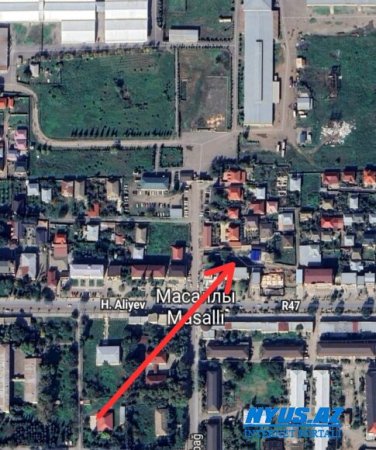 Masallıda AĞACYEYƏNLƏR İŞ BAŞINDA... Masallıda AĞACYEYƏNLƏR İŞ BAŞINDA...