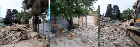 Bakının göbəyində AĞACYEYƏNLƏR PEYDA OLDU...
